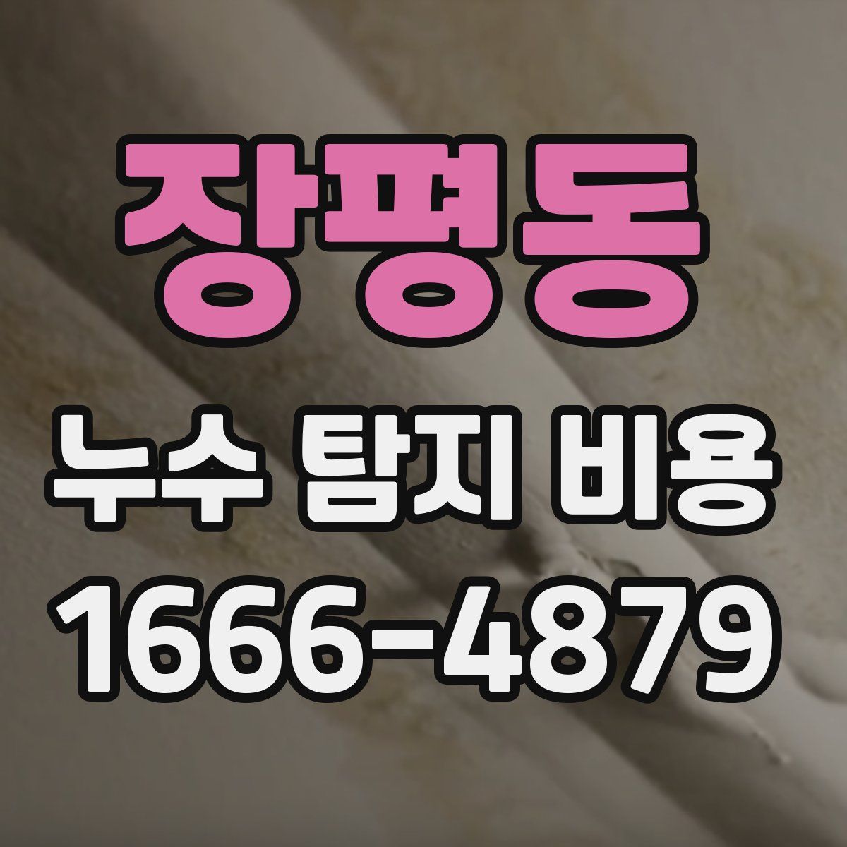 장평동 누수 탐지 비용