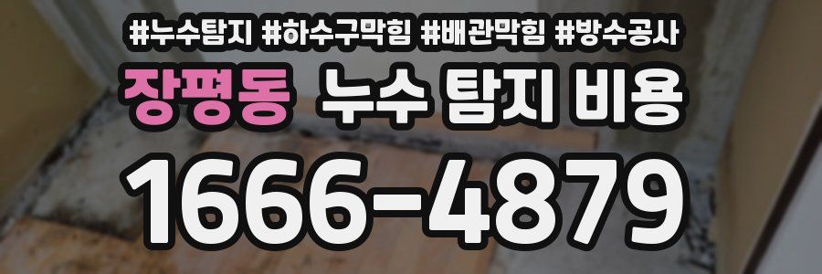 장평동 누수 탐지 비용