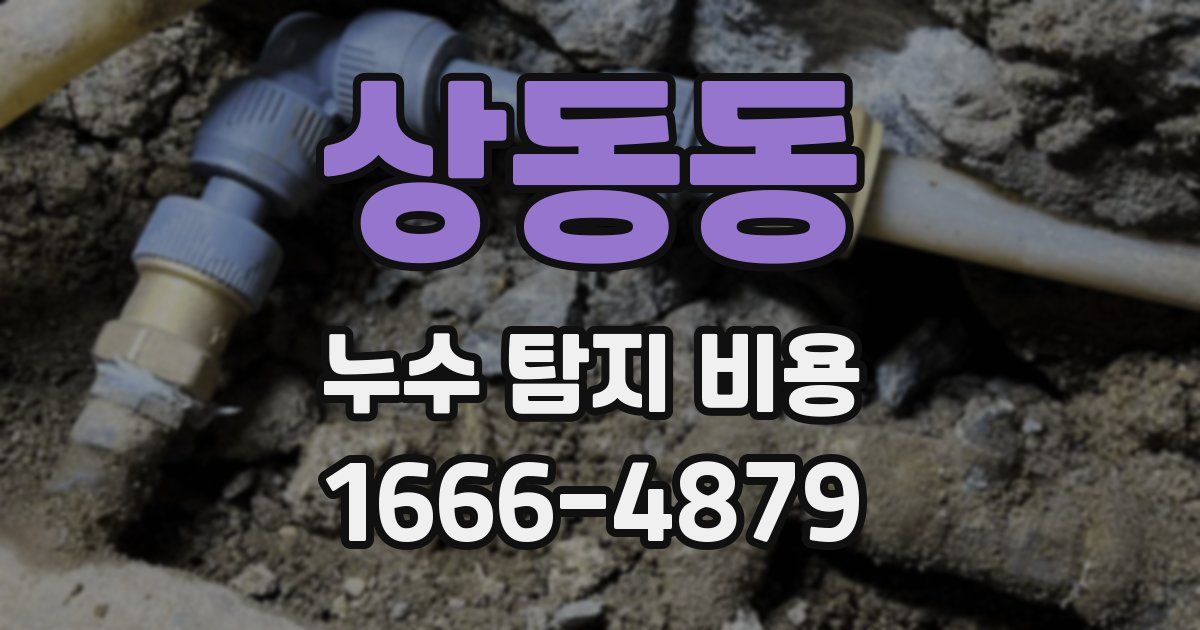 상동동 누수 탐지 비용