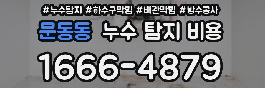 문동동 누수 탐지 비용