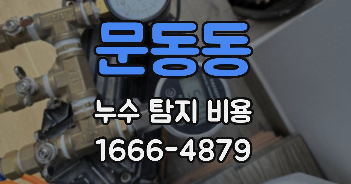 문동동 누수 탐지 비용