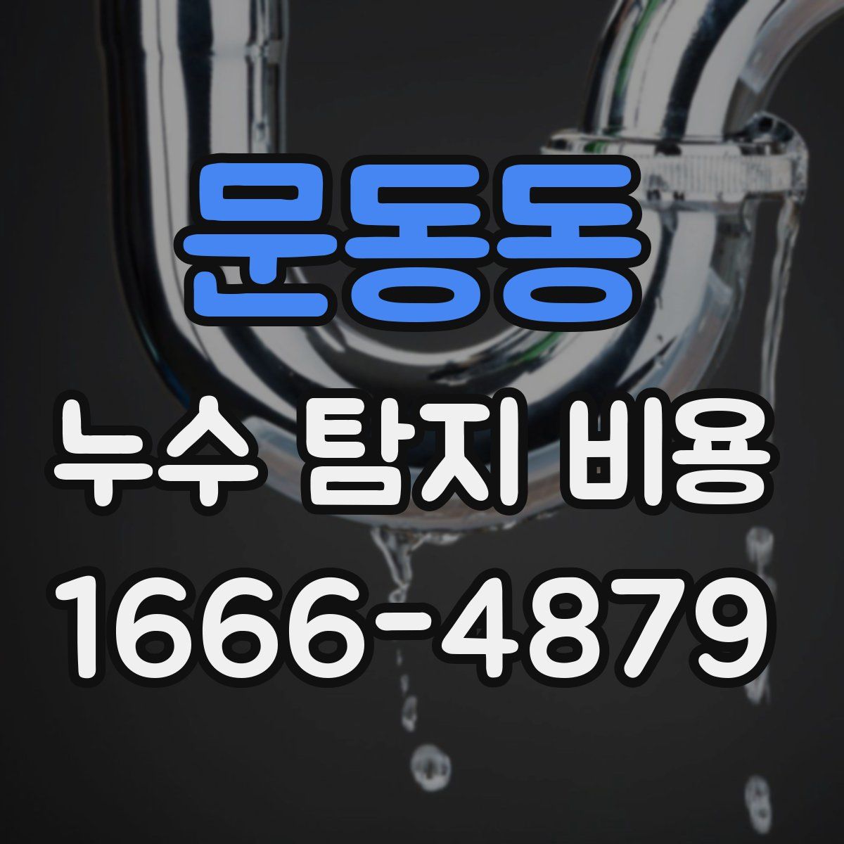 문동동 누수 탐지 비용