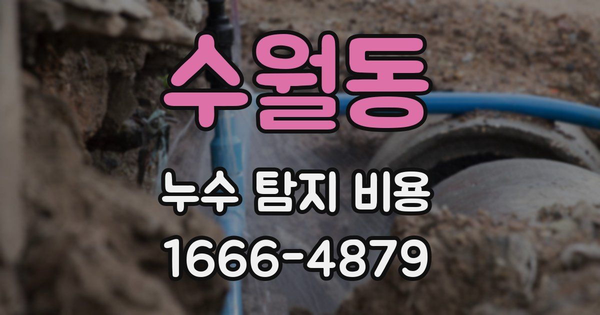 수월동 누수 탐지 비용