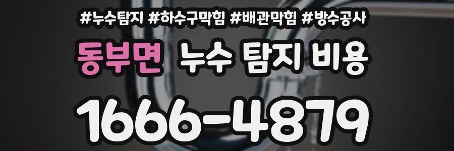 동부면 누수 탐지 비용