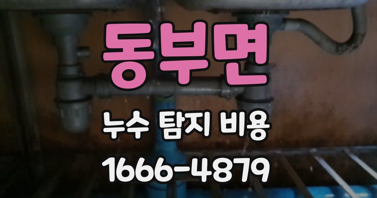 동부면 누수 탐지 비용