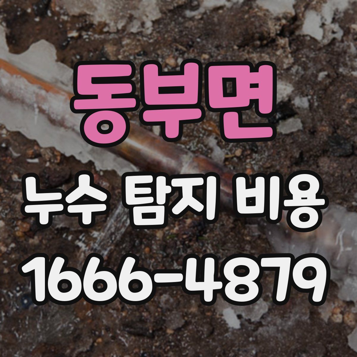 동부면 누수 탐지 비용