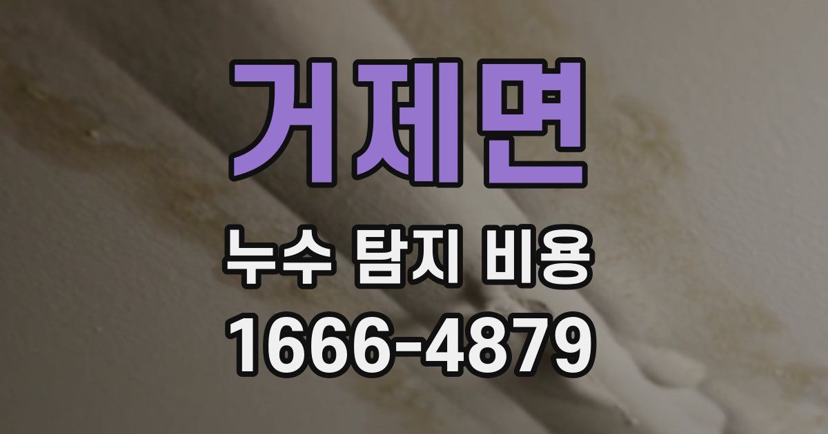 거제면 누수 탐지 비용