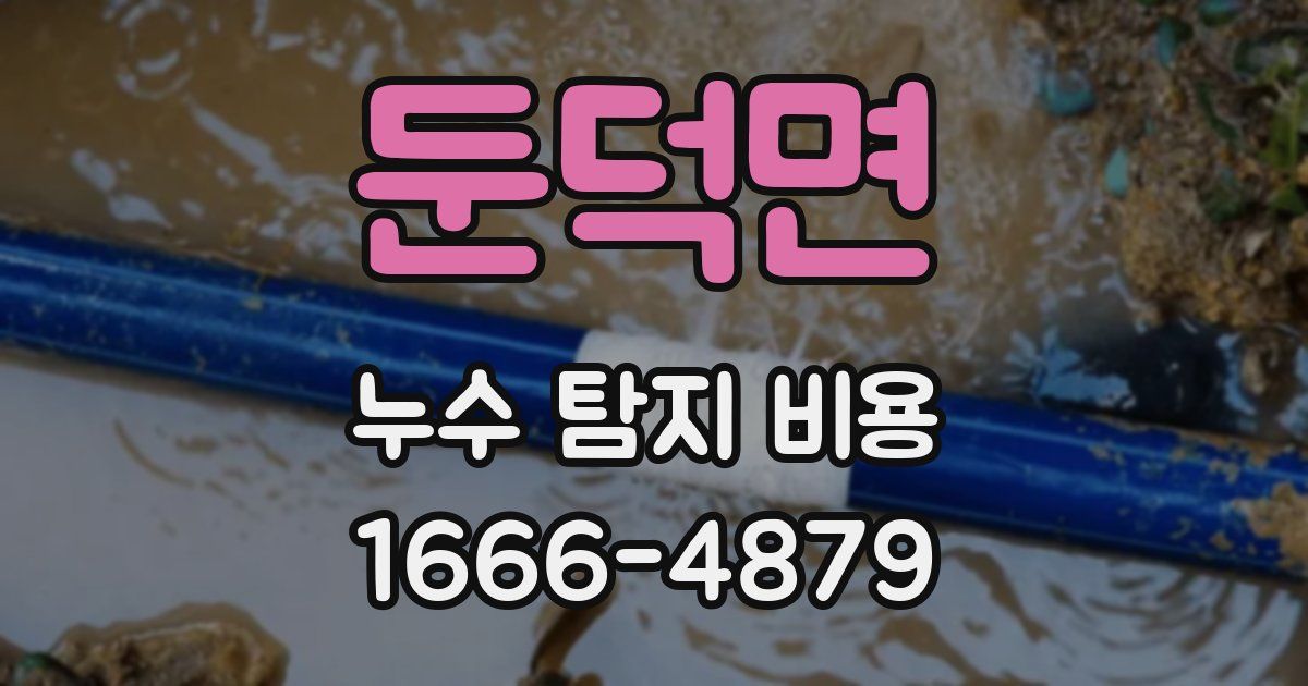 둔덕면 누수 탐지 비용