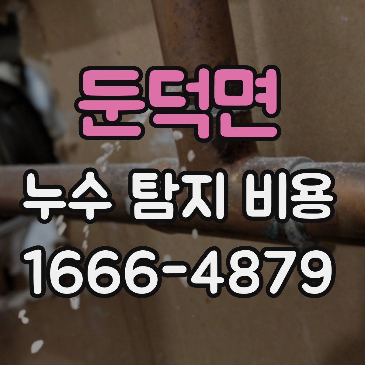둔덕면 누수 탐지 비용
