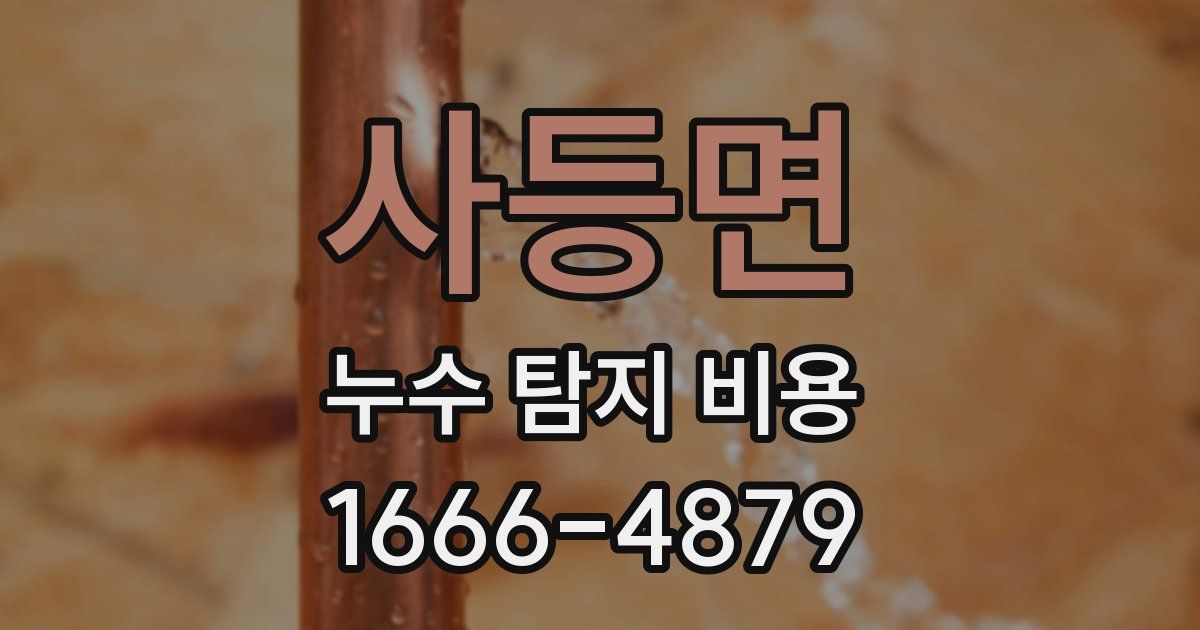 사등면 누수 탐지 비용