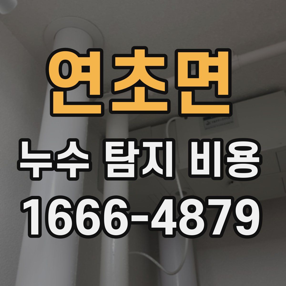 연초면 누수 탐지 비용