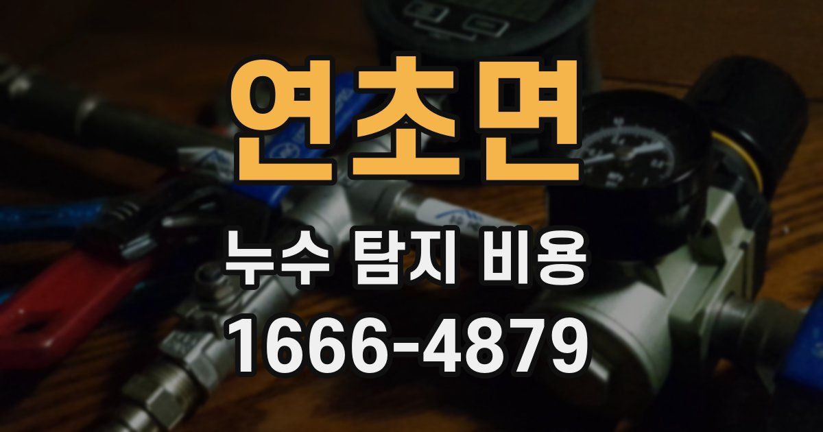 연초면 누수 탐지 비용