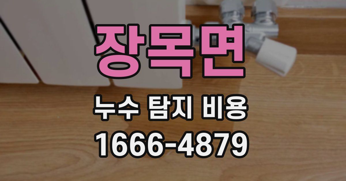 장목면 누수 탐지 비용