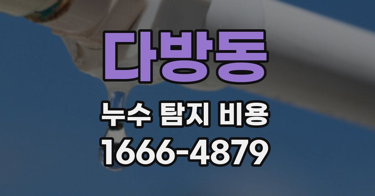 다방동 누수 탐지 비용