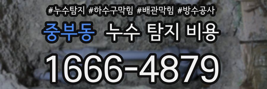 중부동 누수 탐지 비용