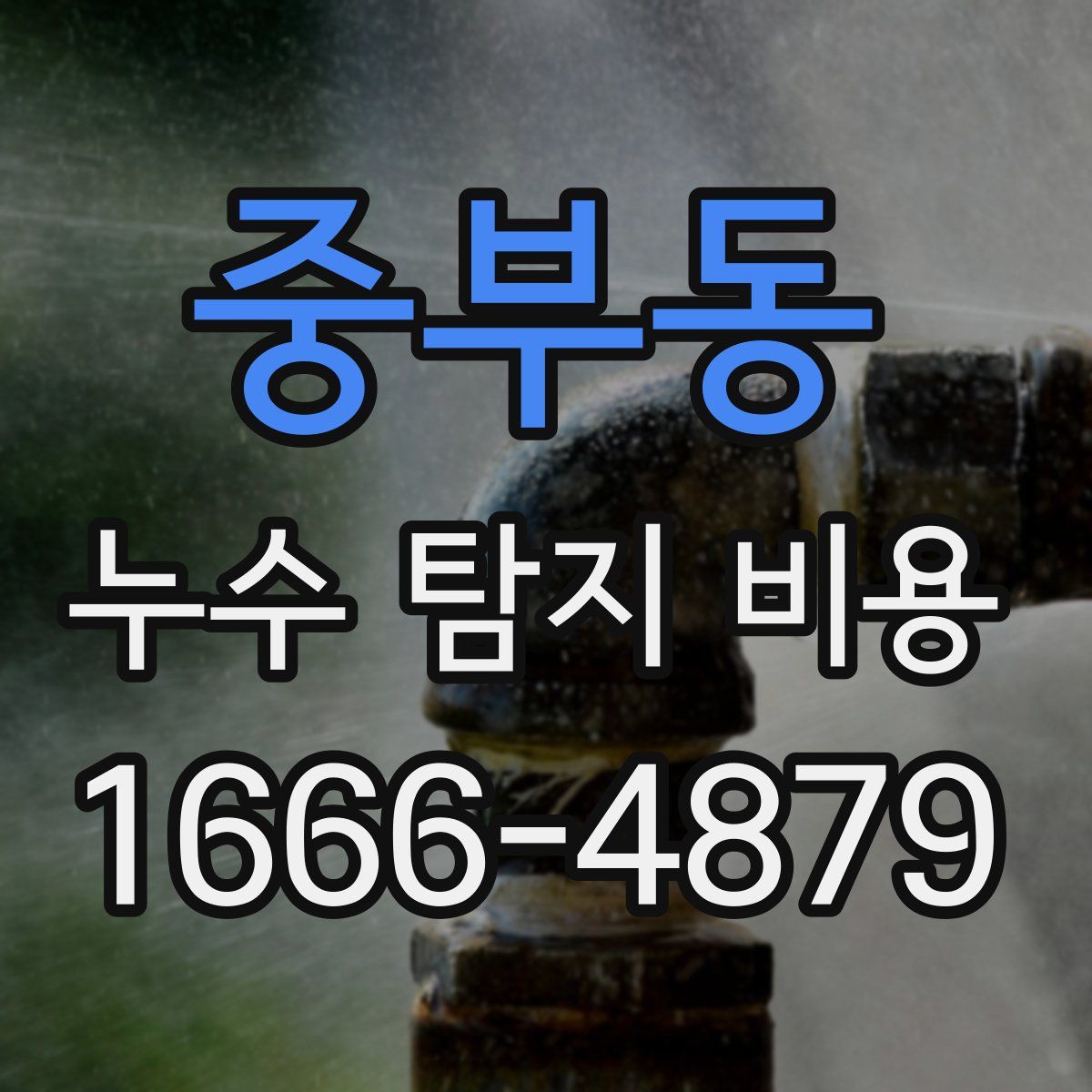 중부동 누수 탐지 비용