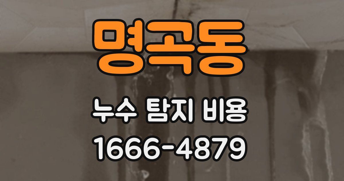 명곡동 누수 탐지 비용