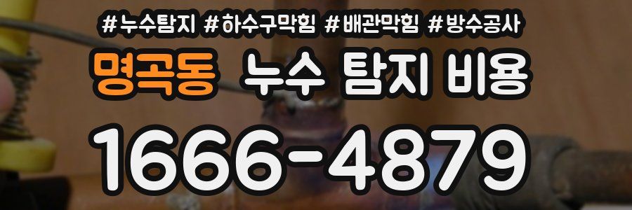명곡동 누수 탐지 비용