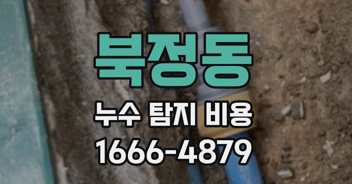 북정동 누수 탐지 비용