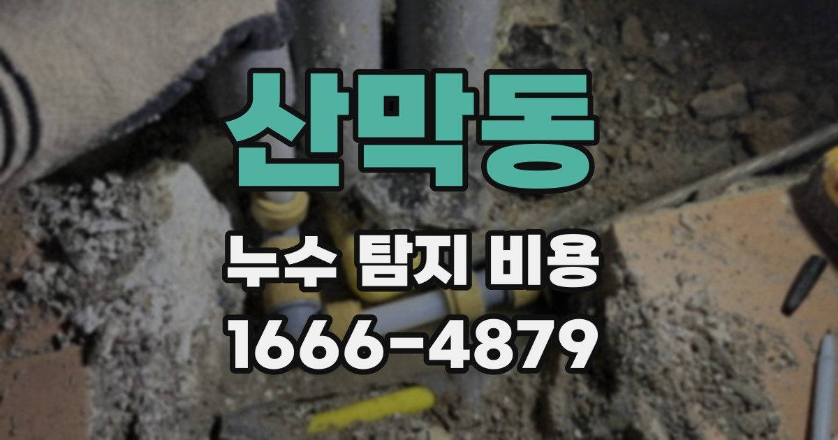 산막동 누수 탐지 비용