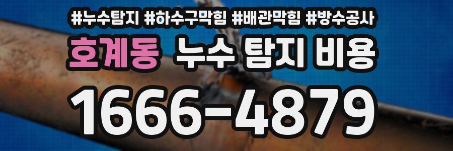 호계동 누수 탐지 비용
