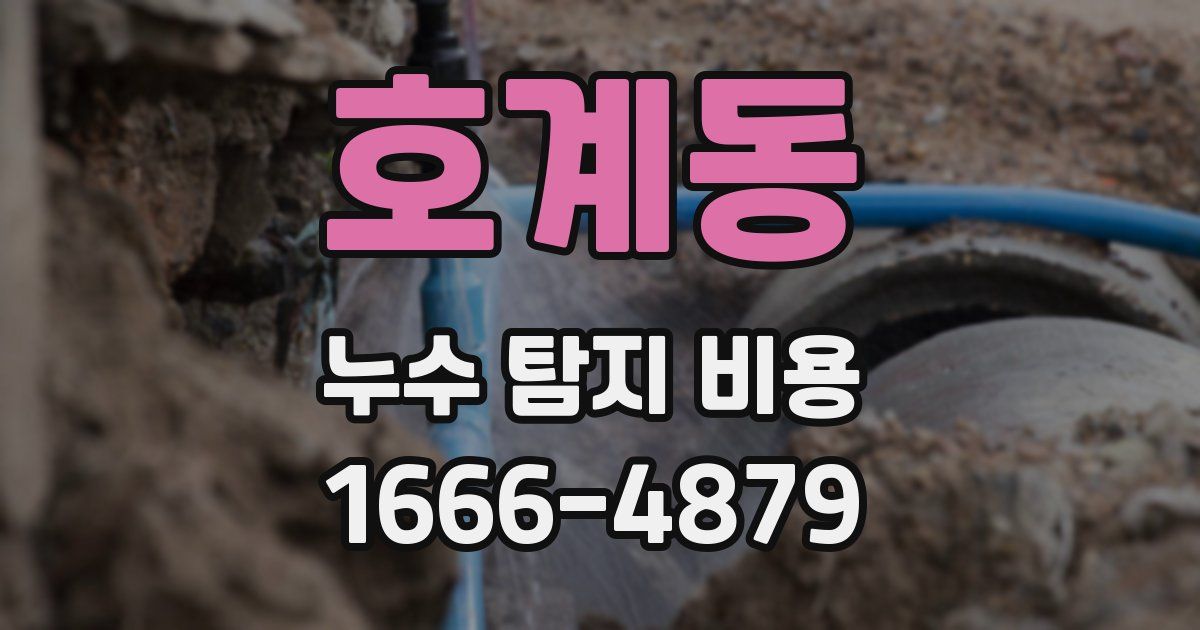 호계동 누수 탐지 비용