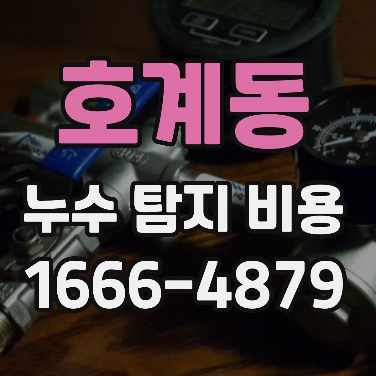호계동 누수 탐지 비용