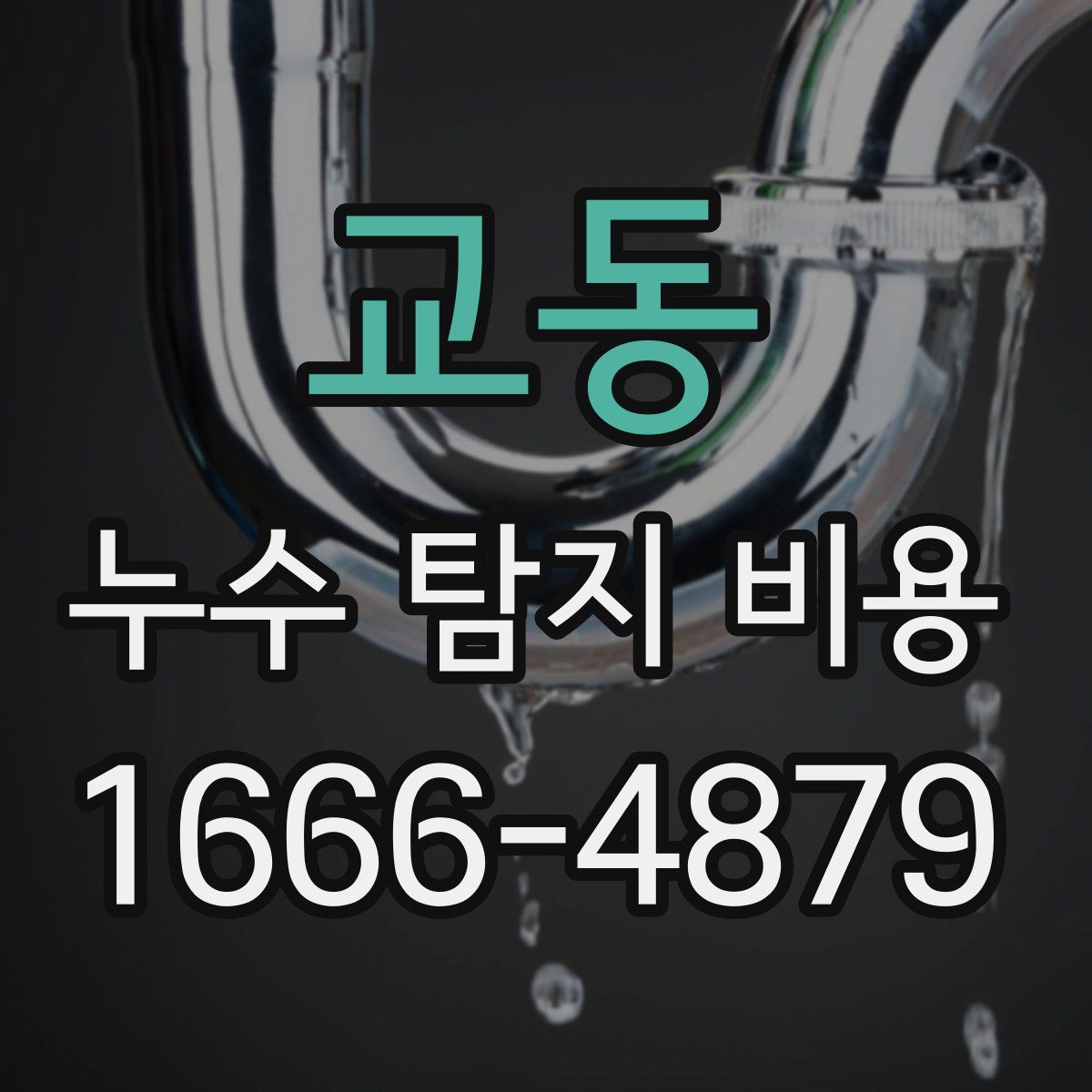 교동 누수 탐지 비용