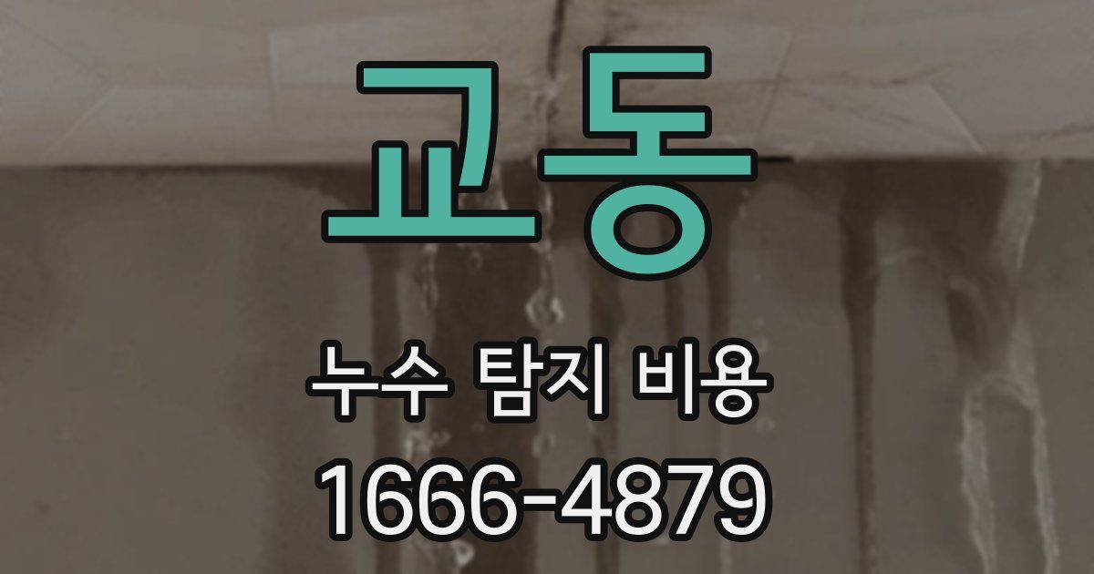 교동 누수 탐지 비용