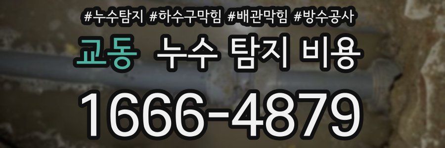 교동 누수 탐지 비용