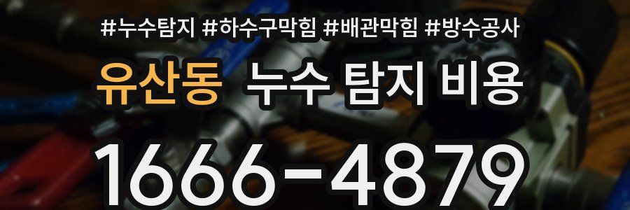 유산동 누수 탐지 비용