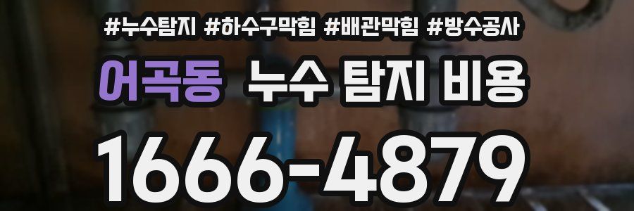 어곡동 누수 탐지 비용
