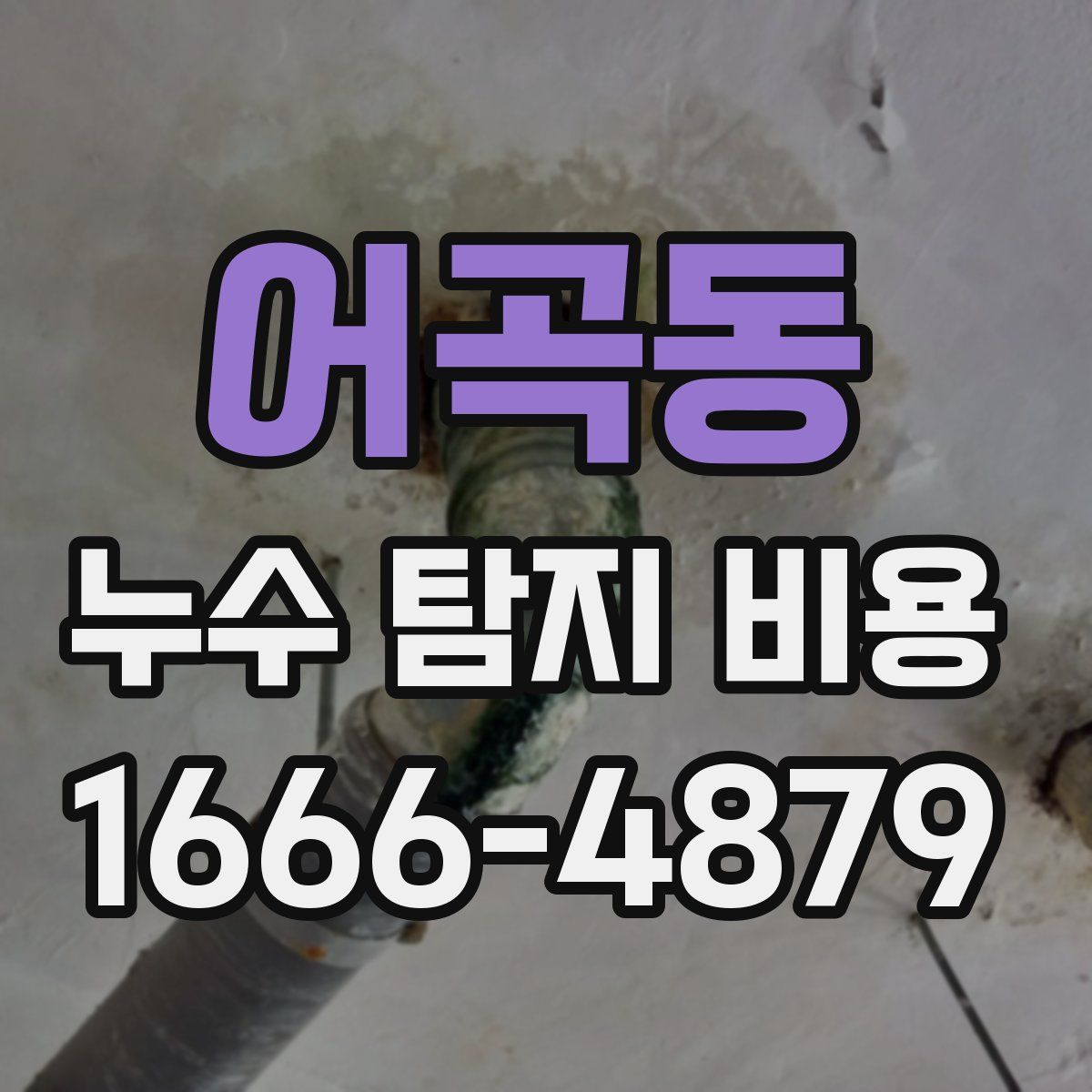 어곡동 누수 탐지 비용