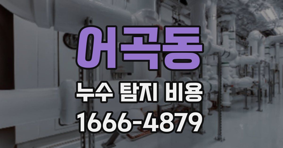 어곡동 누수 탐지 비용