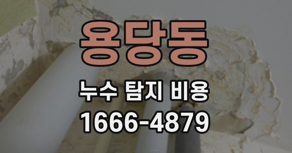 용당동 누수 탐지 비용
