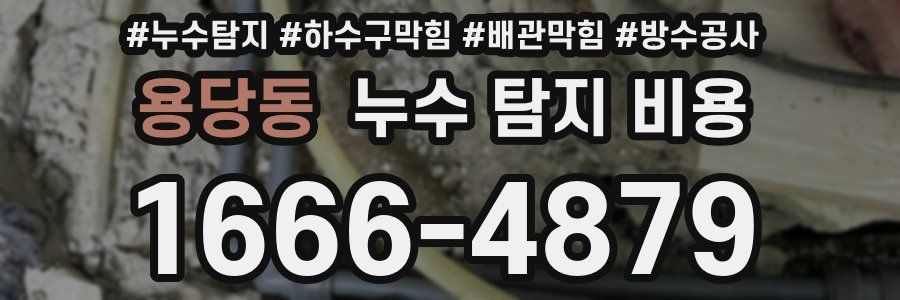 용당동 누수 탐지 비용