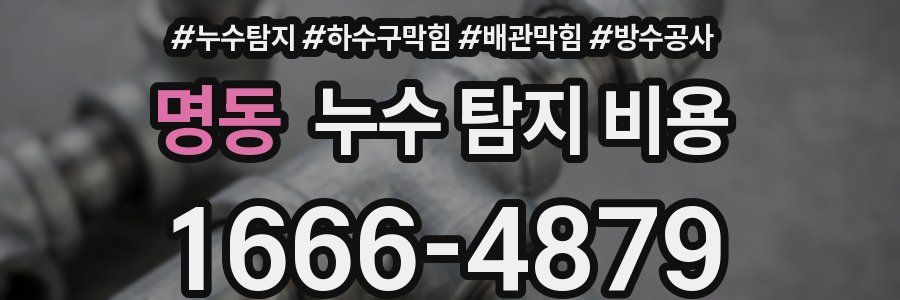 명동 누수 탐지 비용