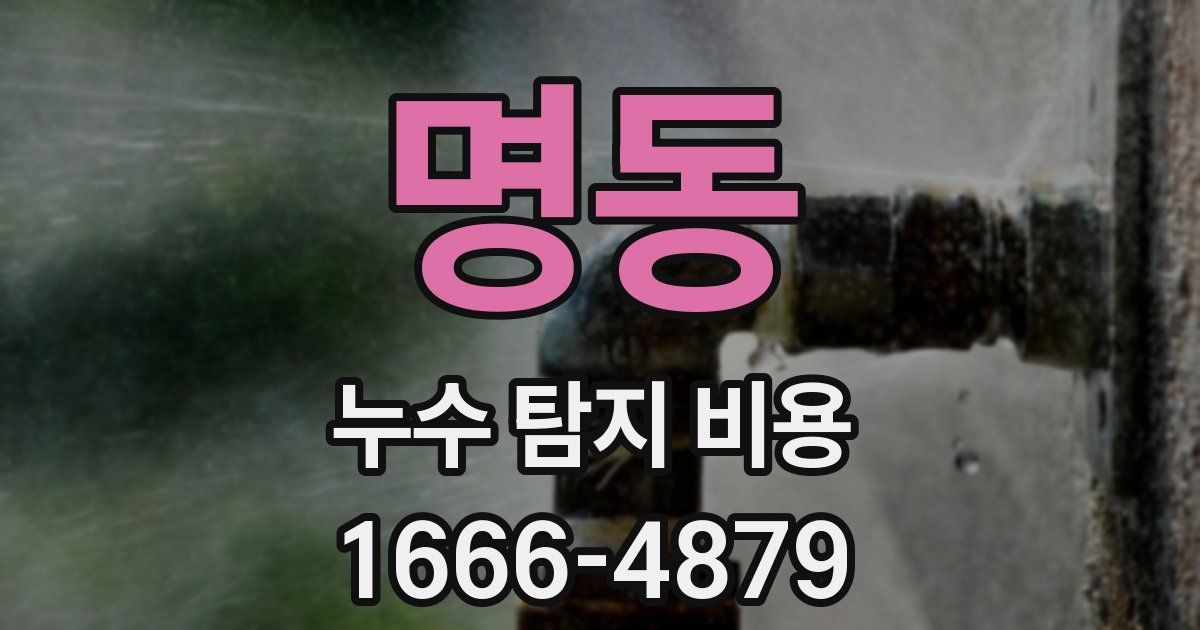 명동 누수 탐지 비용