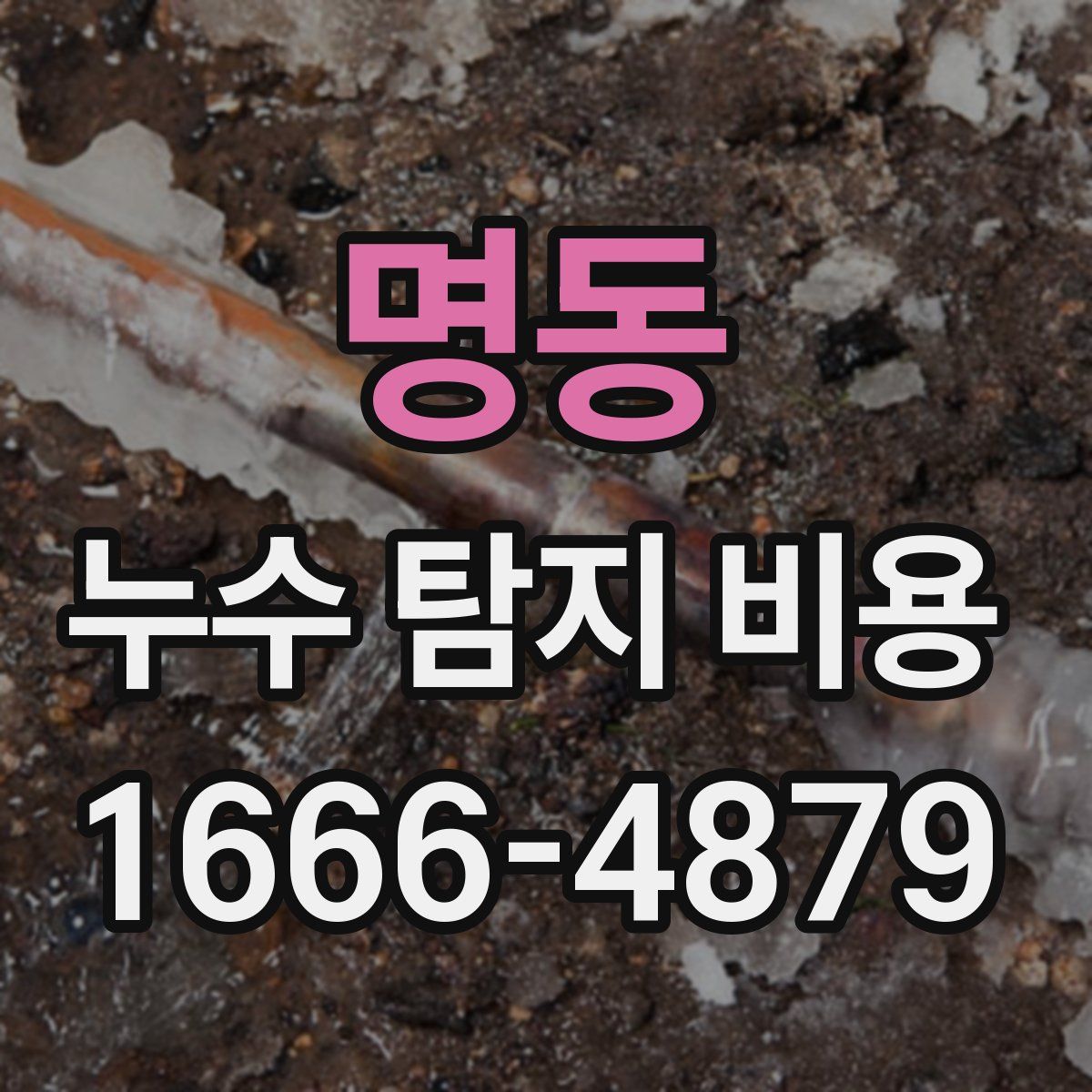 명동 누수 탐지 비용