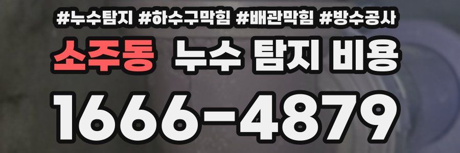 소주동 누수 탐지 비용