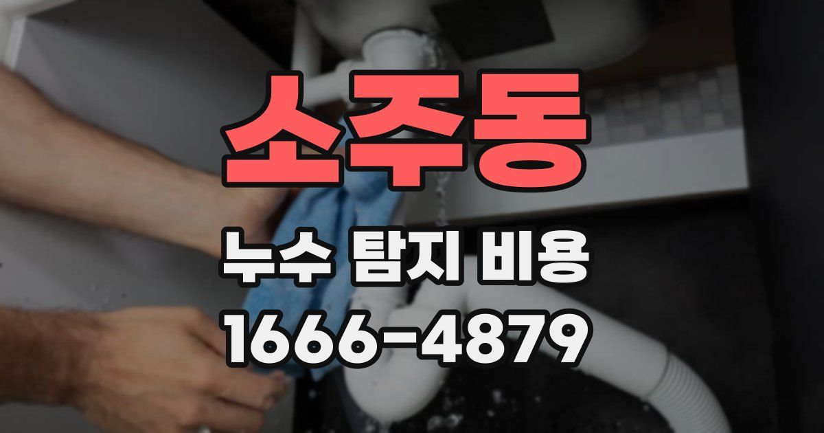 소주동 누수 탐지 비용