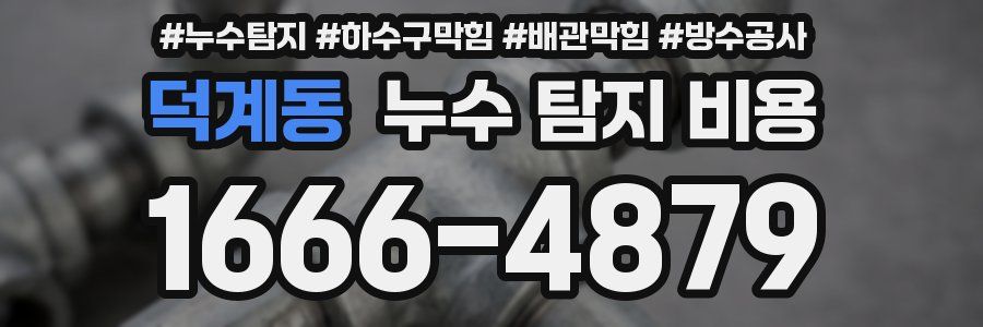 덕계동 누수 탐지 비용