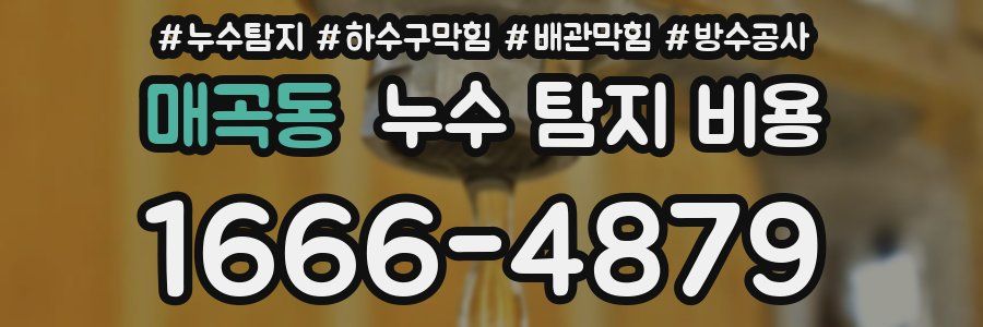 매곡동 누수 탐지 비용