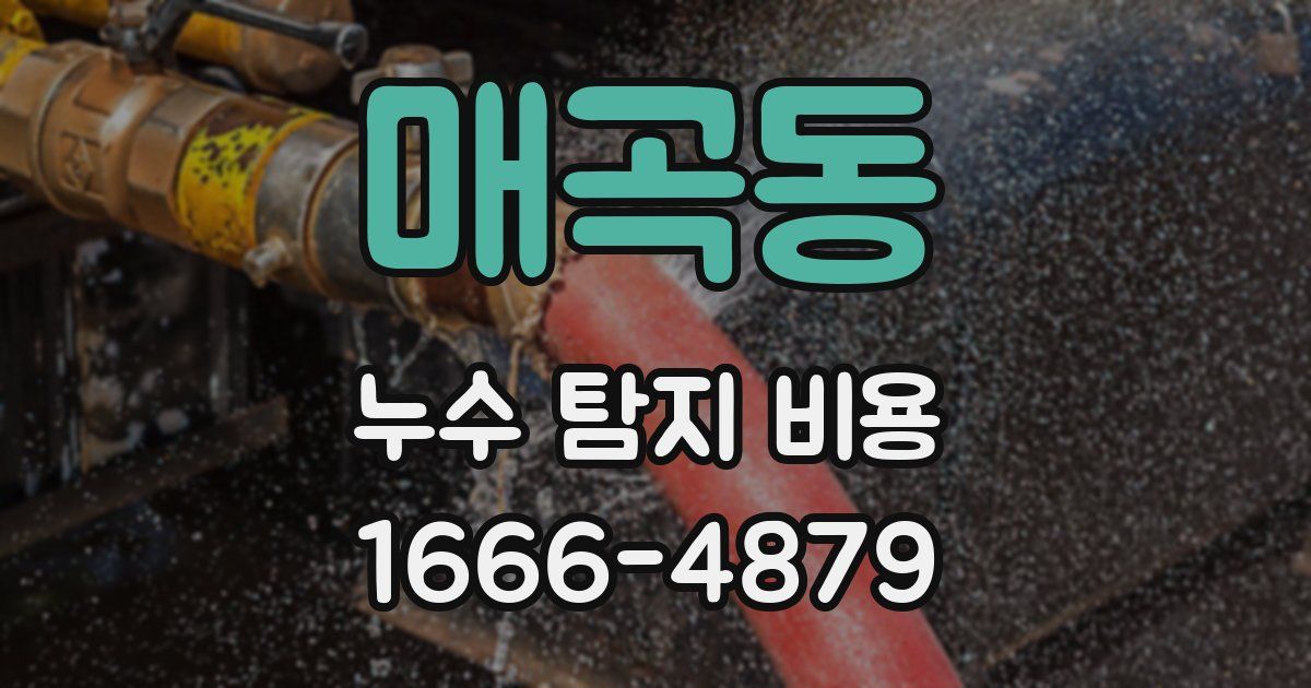 매곡동 누수 탐지 비용