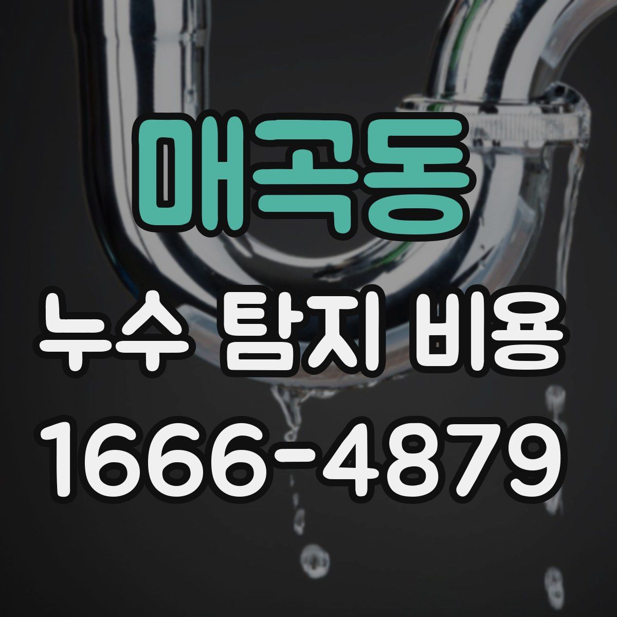 매곡동 누수 탐지 비용