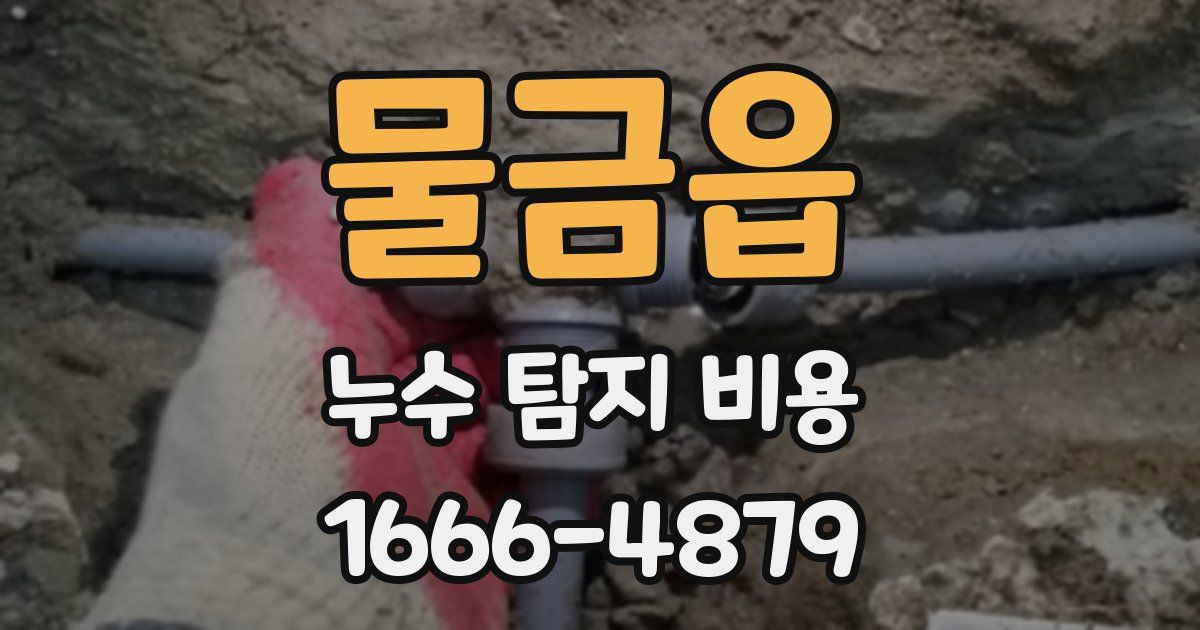 물금읍 누수 탐지 비용
