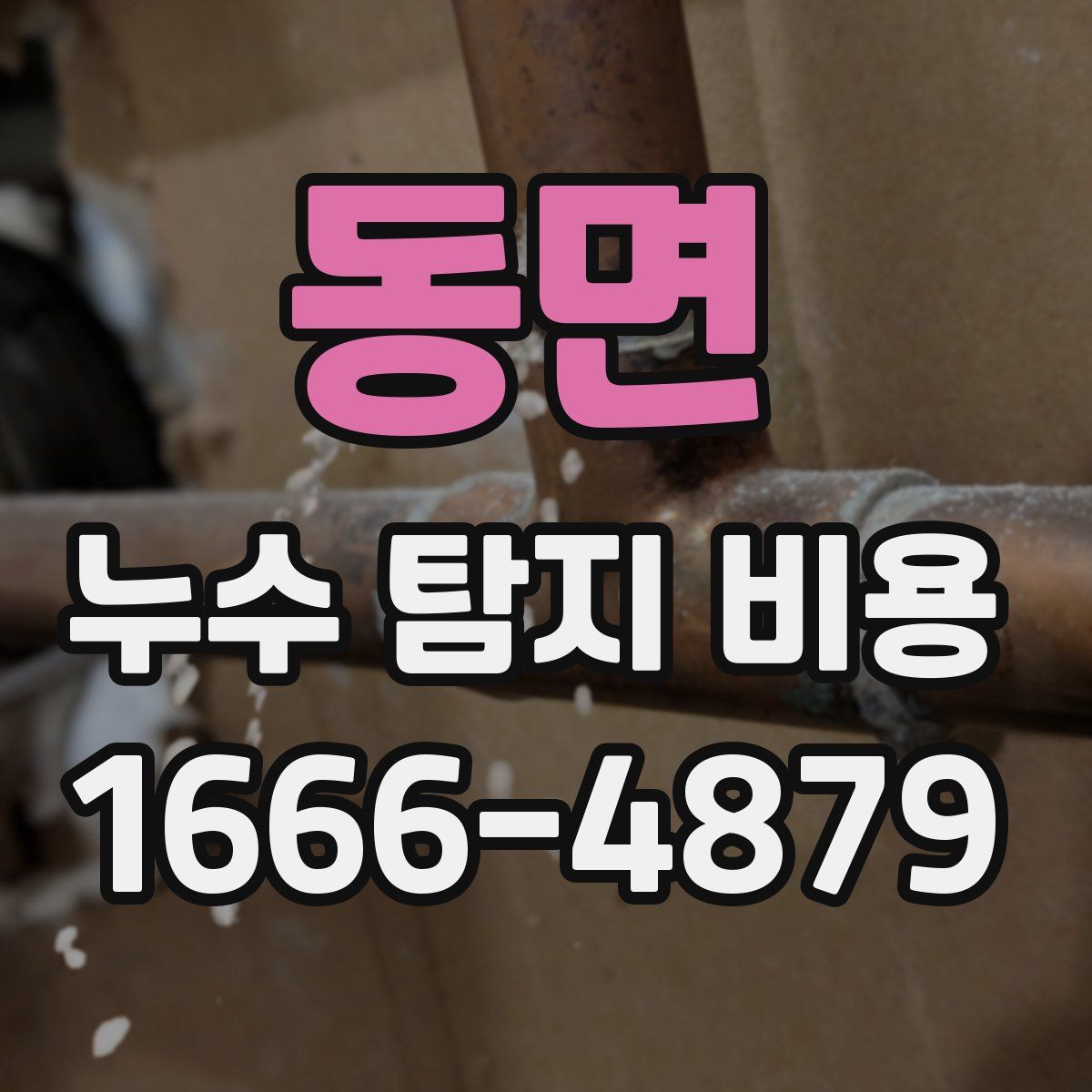 동면 누수 탐지 비용