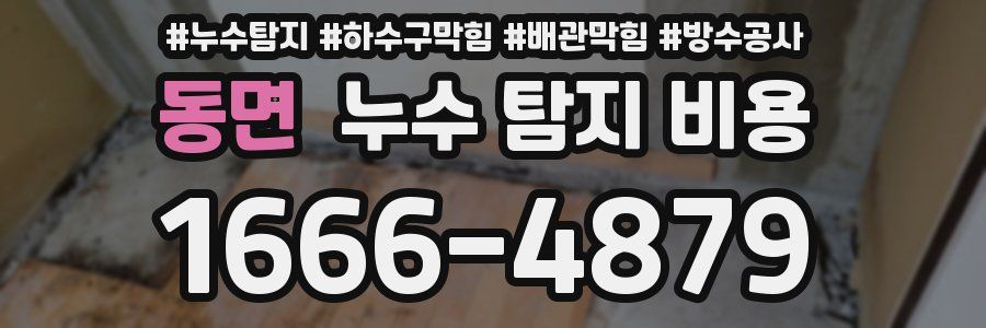 동면 누수 탐지 비용