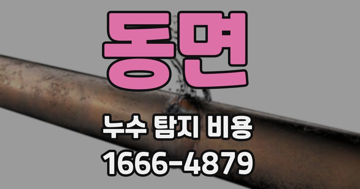 동면 누수 탐지 비용