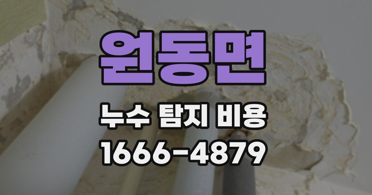 원동면 누수 탐지 비용